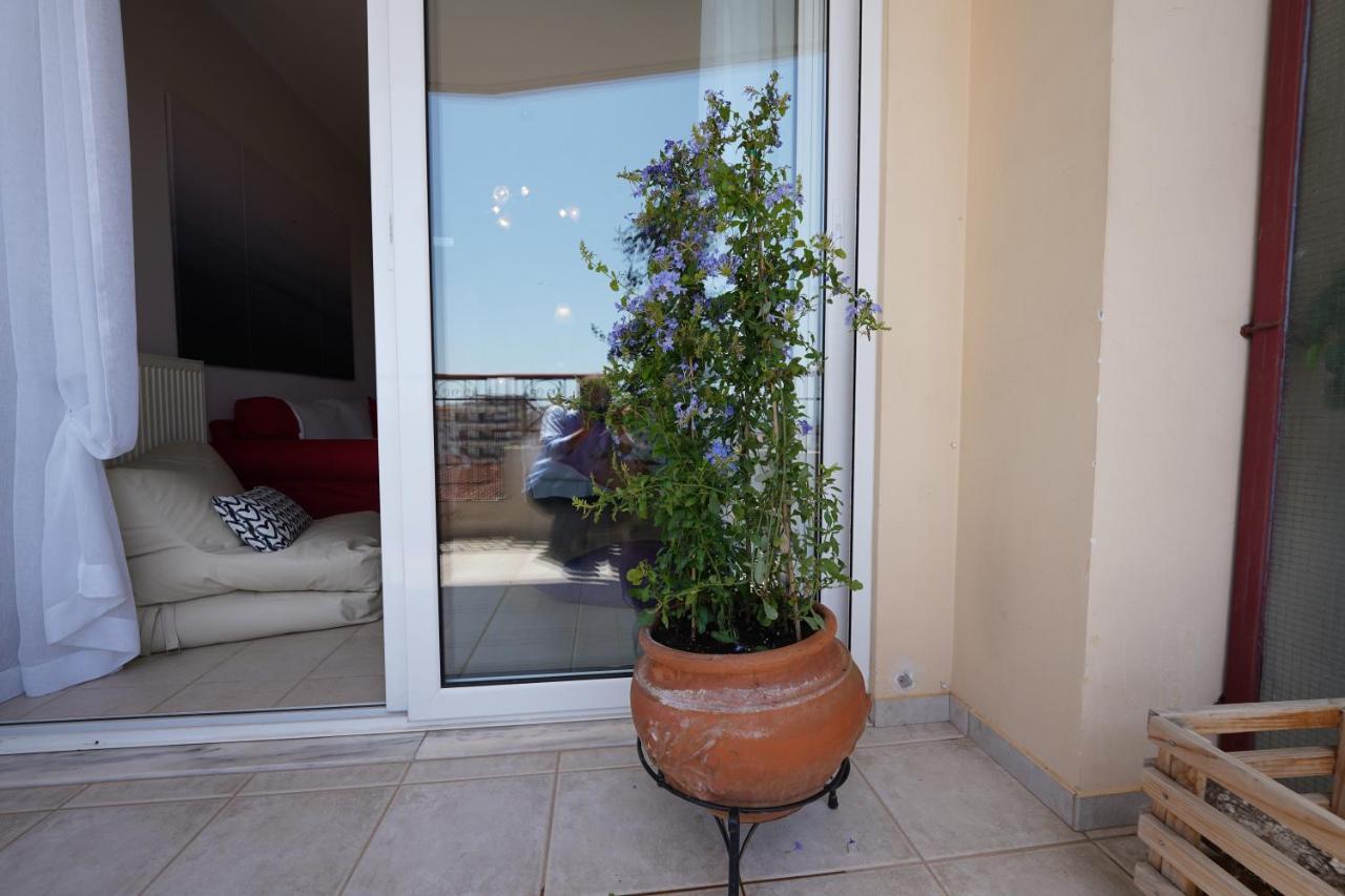 Blue Jasmine Daire Aigio Dış mekan fotoğraf